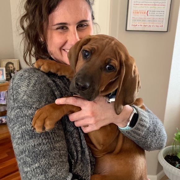 Preloved Designer Brands at Great Prices - Picture 4 of 5